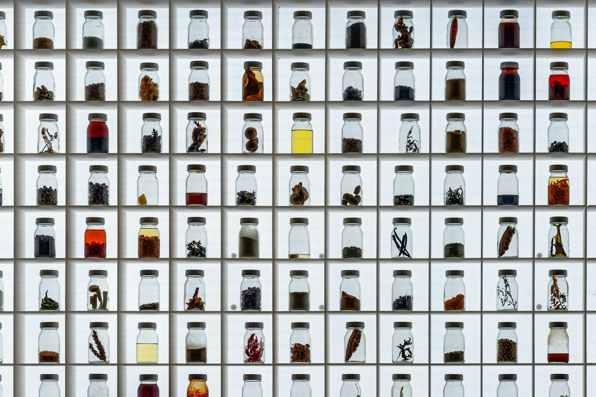 A wall of glass jars holding ingredients and botanicals