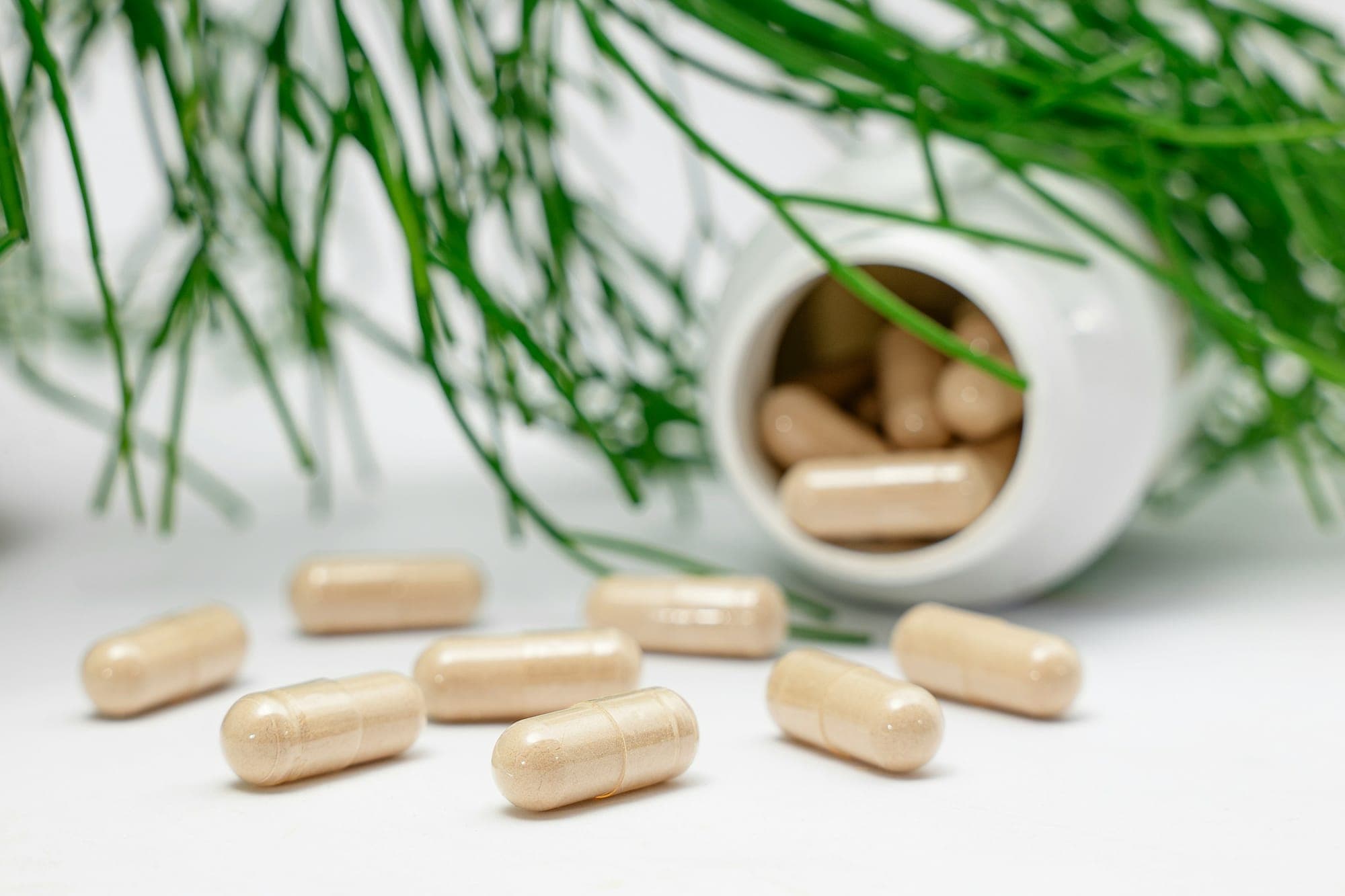 Dietary supplement capsules